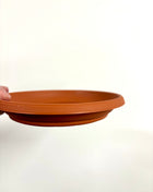 Pot Saucer - 12-15cm