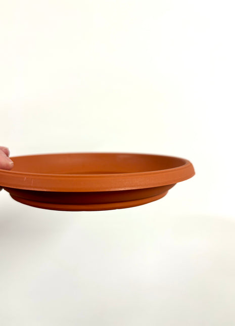 Pot Saucer - 12-15cm