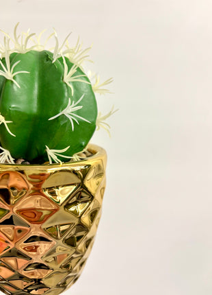 Faux cactus