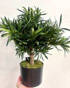 Faux tree potted