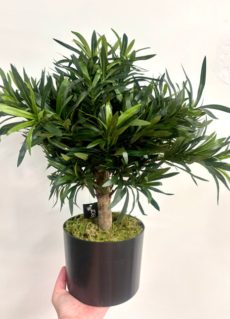 Faux tree potted