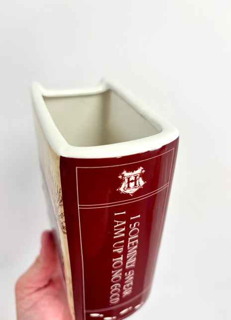 Harry Potter bookvase