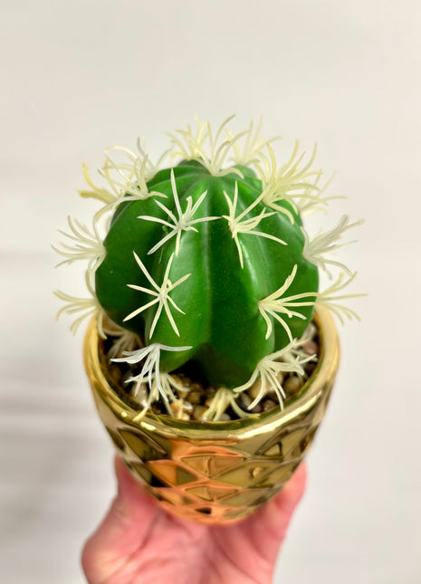Faux cactus
