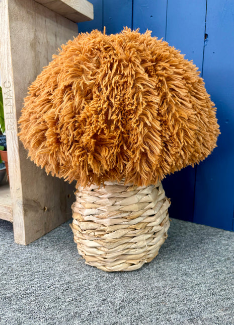 Rattan Mushroom