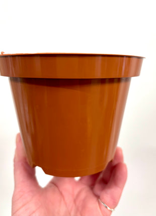 Nursery re-potting pot 12cm