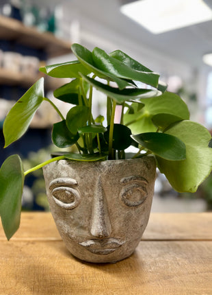 Face pot