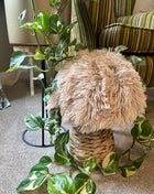 Rattan Mushroom (cream)