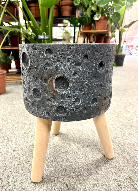 Black lunar planter