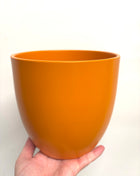 Orange pot