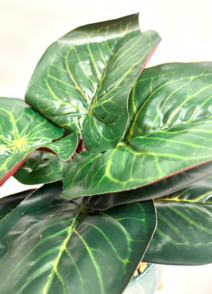 Faux Ficus