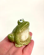 Mini frog