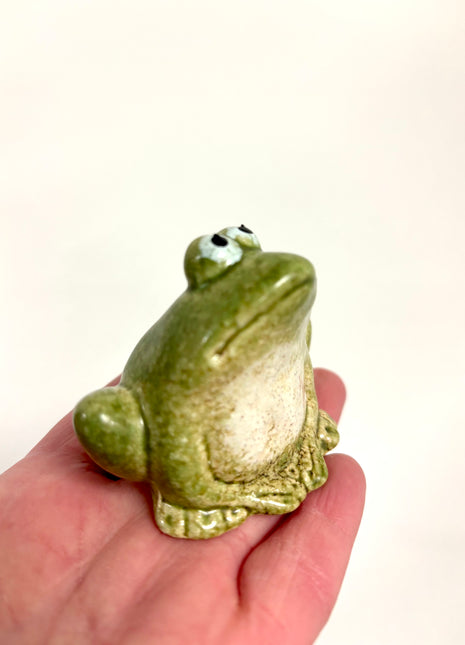 Mini frog