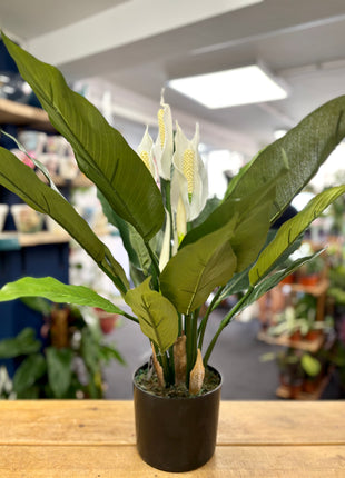 Faux Peace Lily