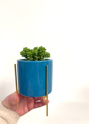 Mini blue pot