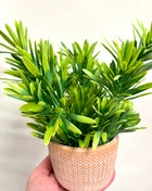 Faux foliage