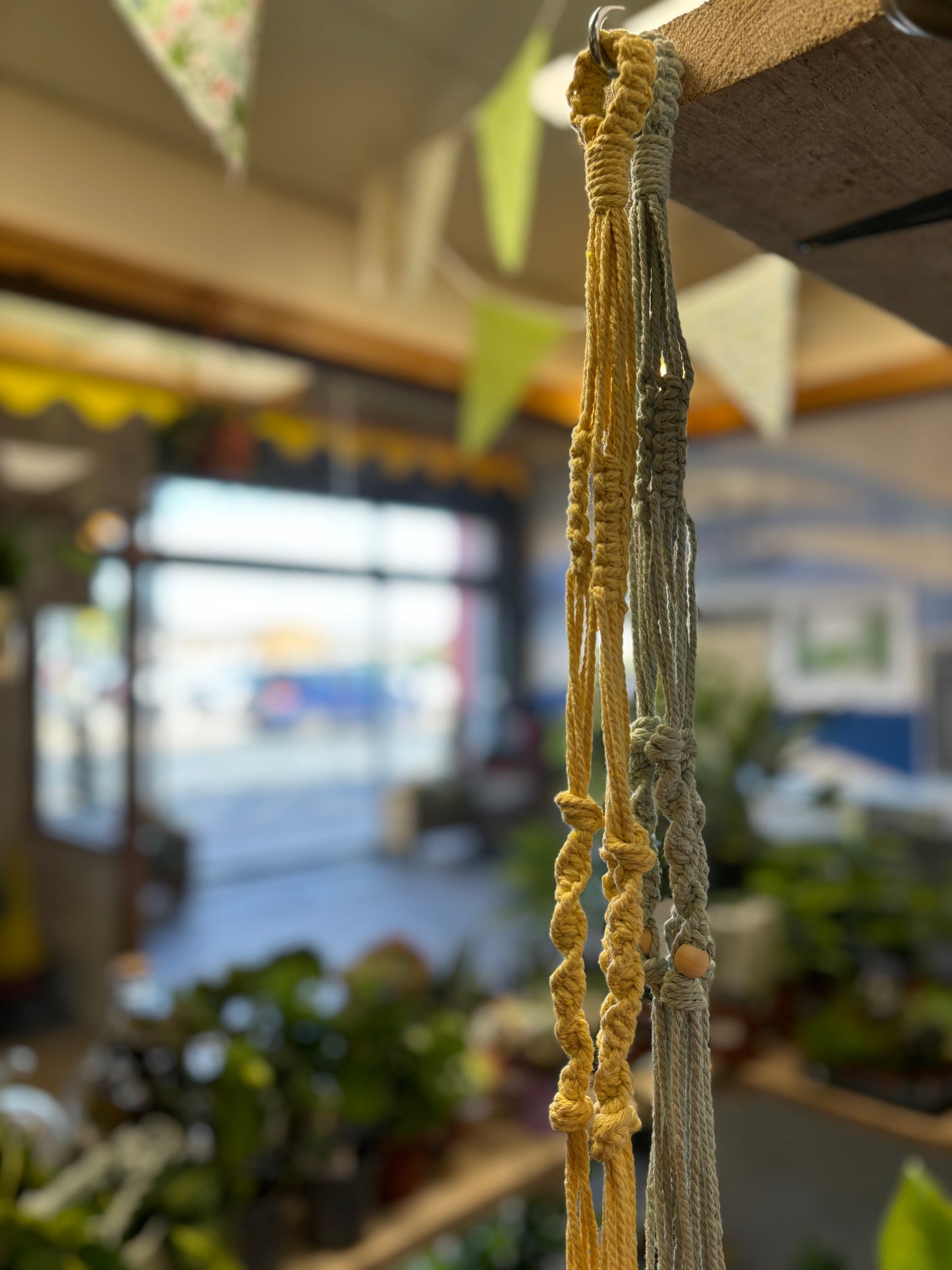 Macrame Plant Hangers