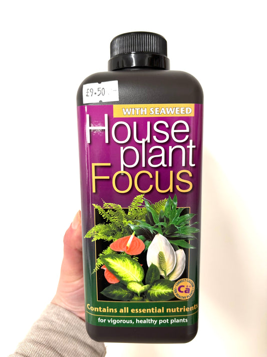 Houseplant Focus food 1L
