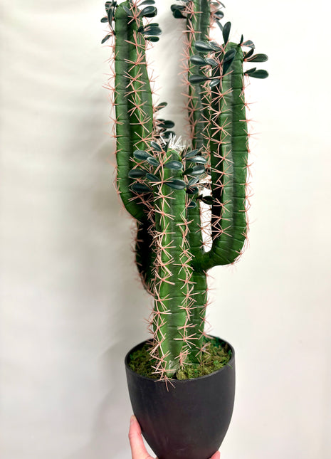 Faux Cactus