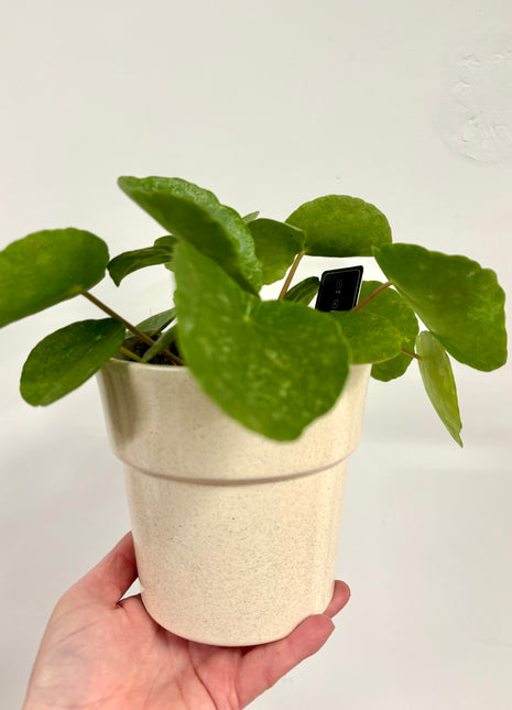 Speckled ceramic stone pot