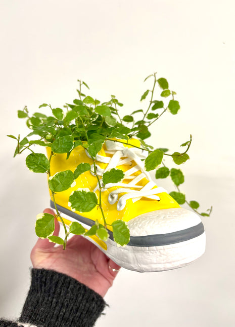 Trainer plant pot
