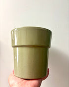 Olive Green Rimmed Pot