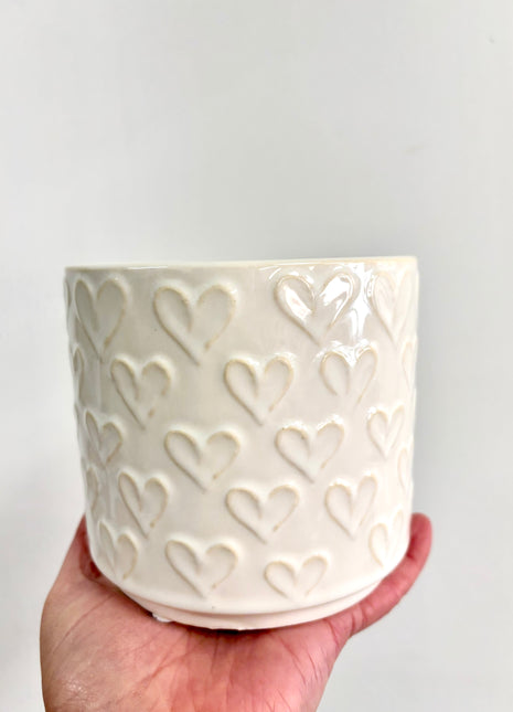 Heart plant pot
