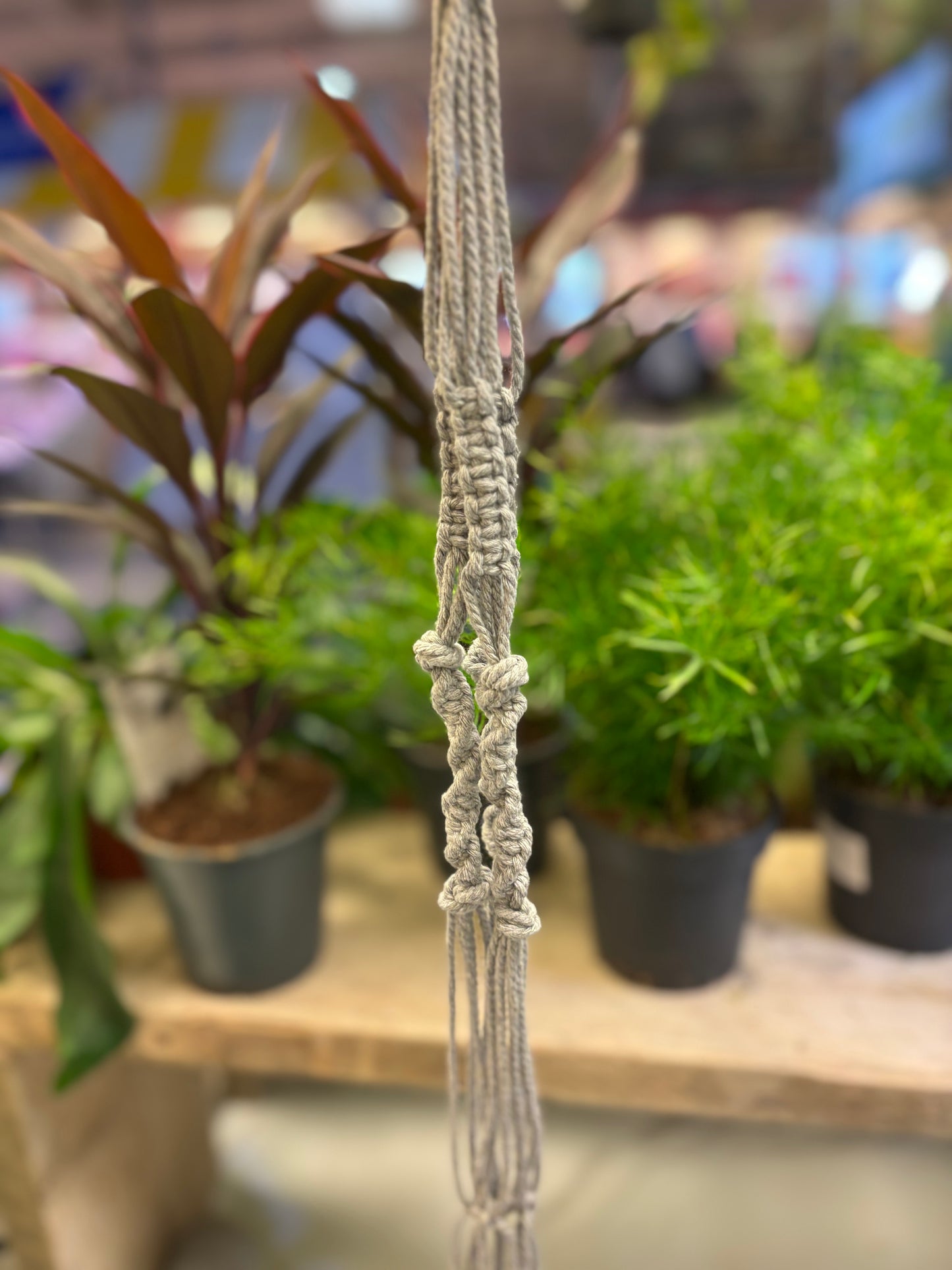 Macrame Plant Hangers