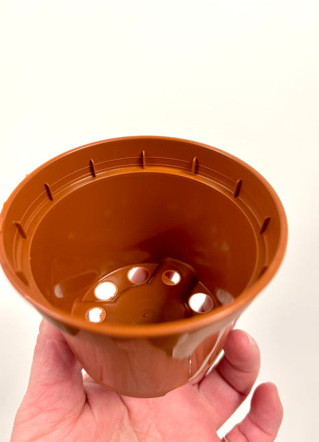 Nursery re-potting pot 8cm