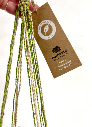 Hanging basket green