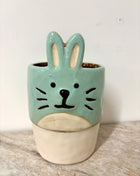 Rabbit pot