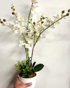 Faux orchid display potted