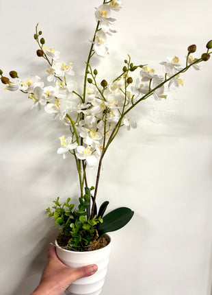 Faux orchid display potted