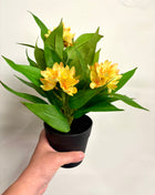 Faux Freesia Yellow