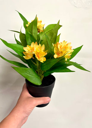 Faux Freesia Yellow