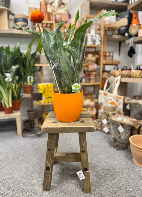 Plant stand/mini stool