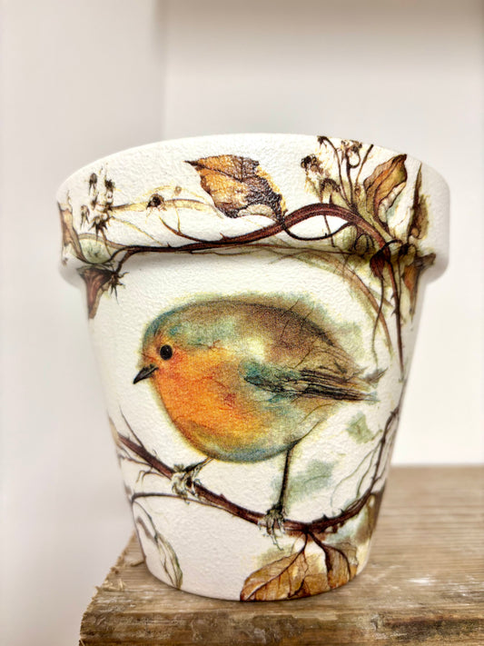 Robin Pot
