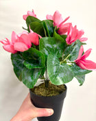 Faux Cyclamen