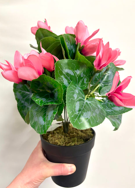 Faux Cyclamen