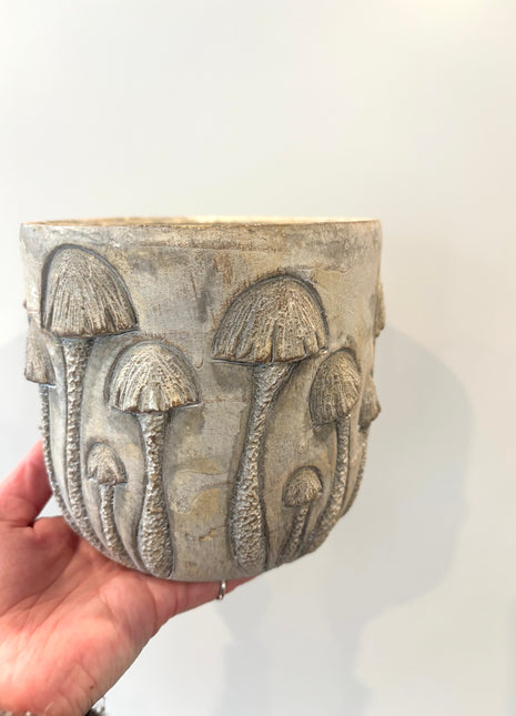 Mushroom plant pot
