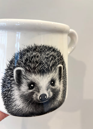 Hedgehog pot
