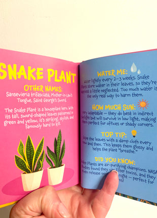 Guide caring for catci and succulents book