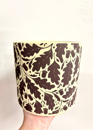 Acorn plant pot
