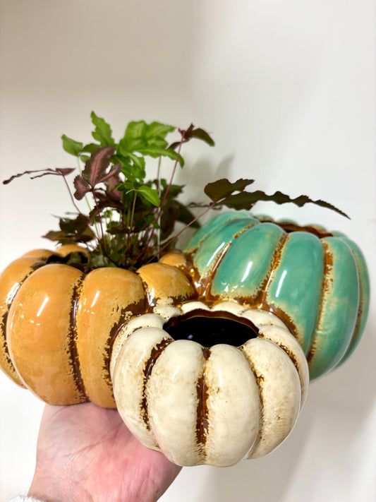 Pumpkin planters