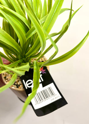 Faux grass with decorative planter