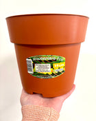 Nursery re-potting pot 19cm