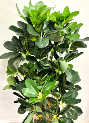 Faux Schefflera