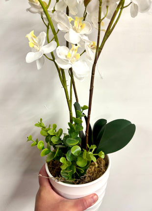 Faux orchid display potted