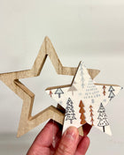 Star decoration