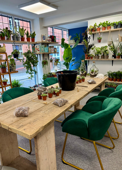 Terrarium workshop