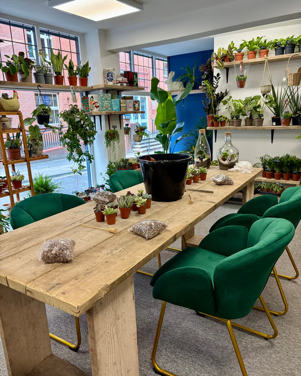 Banner image for: <h2>Terrarium workshops</h2>